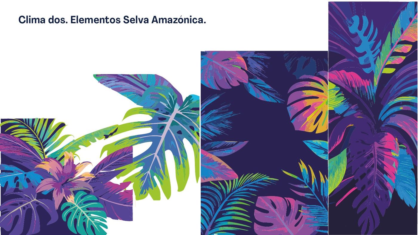 Clima gráfico de selva